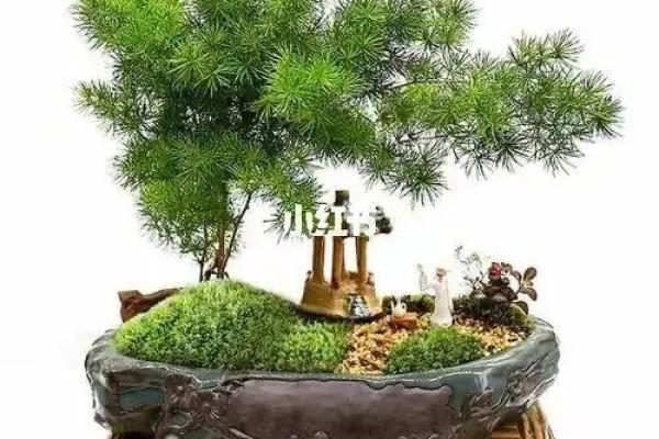 木命男做生意的旺财布置：适合摆放的吉祥物与植物推荐