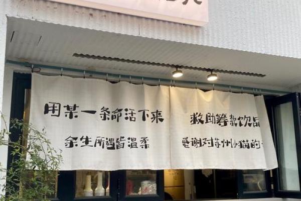 神秘的猫咪：九条命的传说背后故事