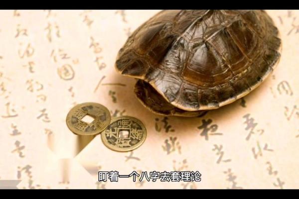命局四墓库揭秘：探寻命理中蕴藏的财富与智慧