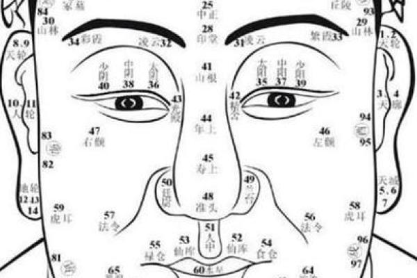 男人十个斗：揭示你命运的秘密与生活智慧