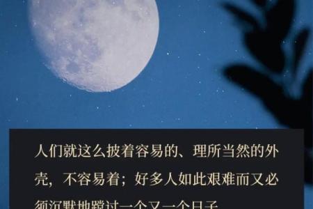 女人最好的命格：优雅与智慧并存的命运之道