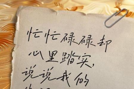 劳命奔波,命凄凉:在忙碌生活中的思考与感悟