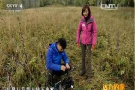 探索农历七月的五行命理:让我们走进七月的神秘世界