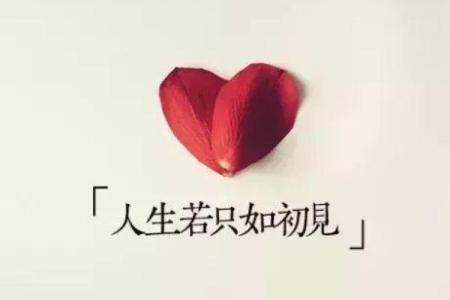 伤官旺:命格解读与人生启示,让你的人生更精彩!