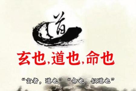 你是打工命还是老板命？揭示命运背后的不同选择与人生哲学
