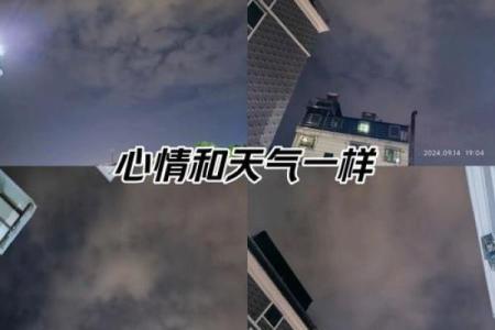 流连忘返：探索生活中的美好时刻与感悟