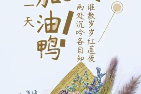 农历6月19出生的人命理解析：人生的幸运与挑战