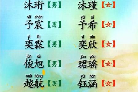 女人八字金水木命格解析：如何找到适合你的命理方向