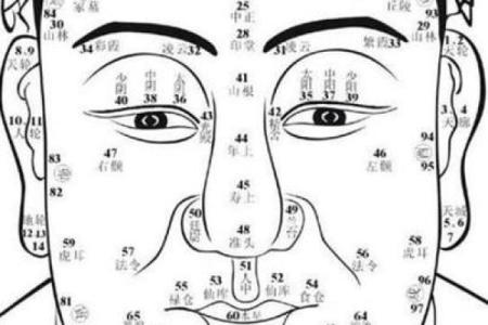 男人十个斗:揭示你命运的秘密与生活智慧