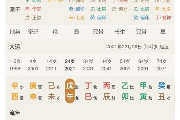 探索女命五个伤官的命理奥秘与人生意义