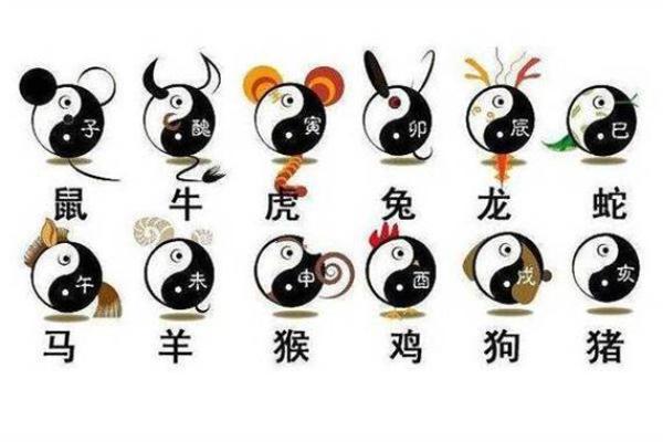 揭秘龙年8月出生男性的命格特征与人生方向