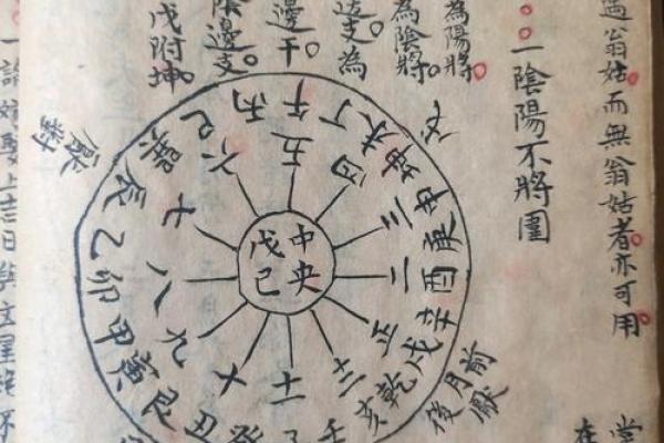 解密2007年十二月出生者的命运与性格特征