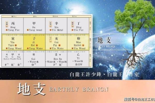 龙属相后的命理揭秘：探索龙的命运与性格特征