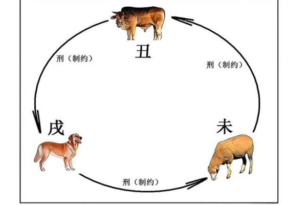 了解命里犯冲与犯行的奥秘：如何运用命理提升生活质量