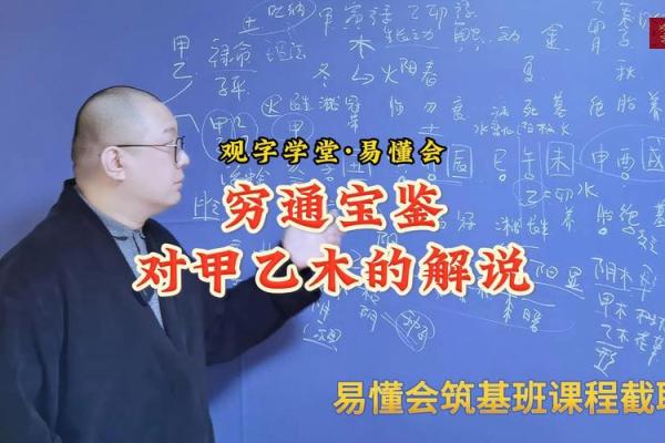 探秘命理：木命与财命的不同之处与人生启示