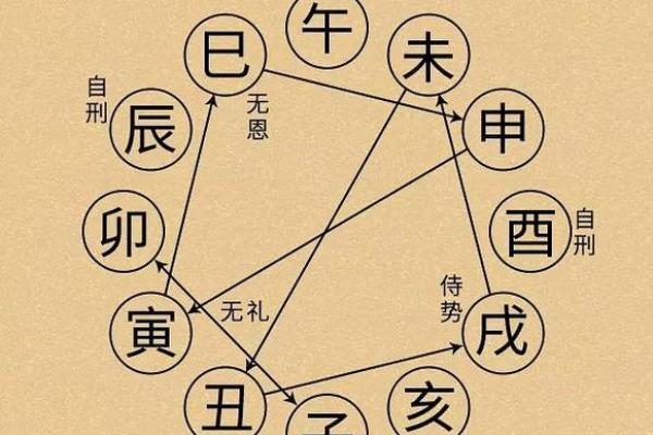 命与生肖：探寻命理的奥秘与生肖的智慧