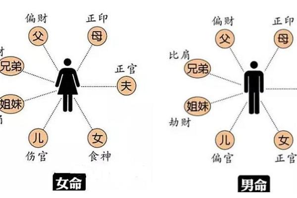 深入解析女命己酉日之运势与身弱的调理方法