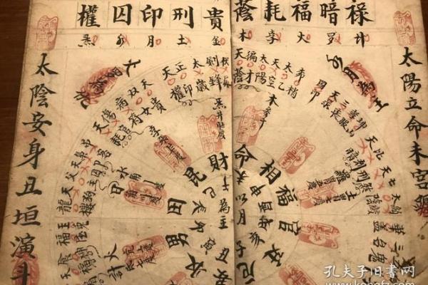 南方命卦：探索命理中的光辉与启示