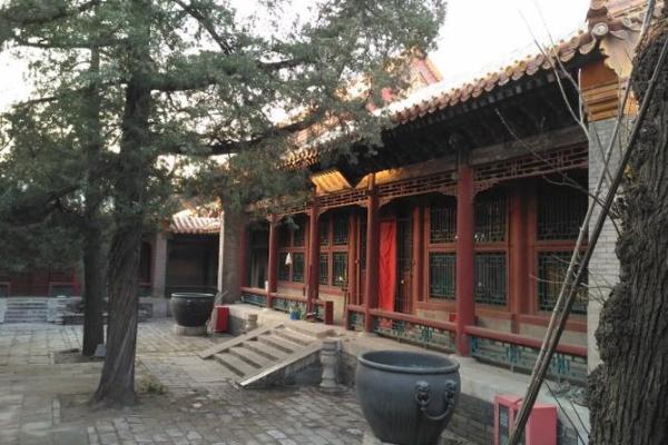 探秘《娘娘的什么丫环》：细数紫禁城中的忠诚与背叛