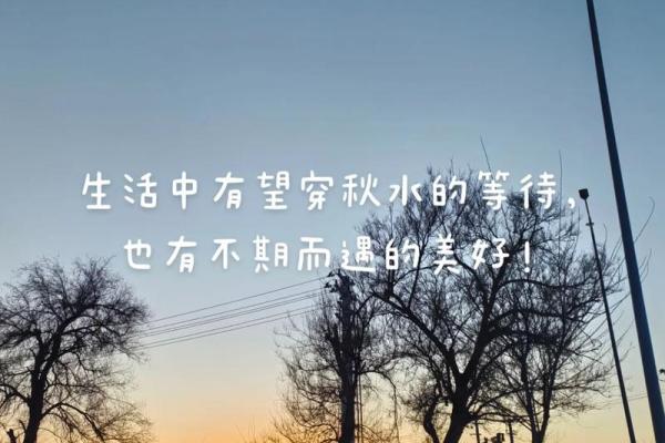 命里的缘分来得慢，人生的奇遇与等待的美好