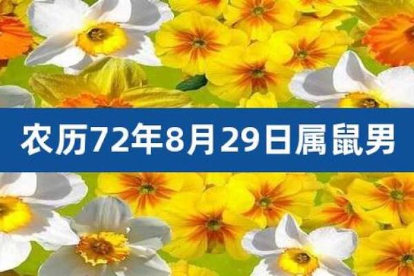 农历五月出生的女鼠，命运与性格的完美结合