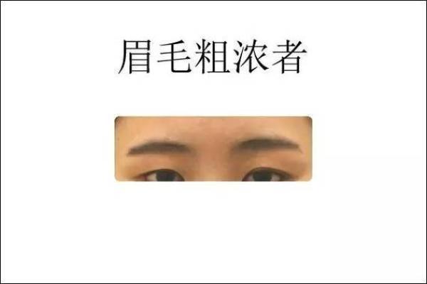 从面相看男生眉毛多的命运解析：智慧与沉稳的象征