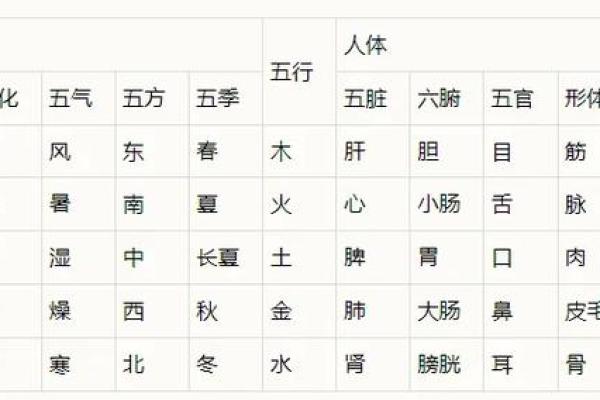 如何化解木命与土命的冲突：五行调和之道