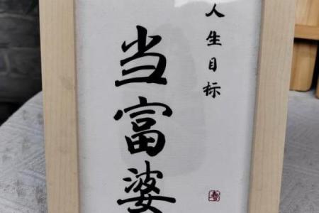 命里无儿有女,解读命运中的奇妙平衡与人生意义