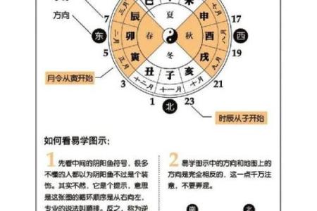 命理潜藏的起伏变化，解读生活的多彩轨迹与智慧