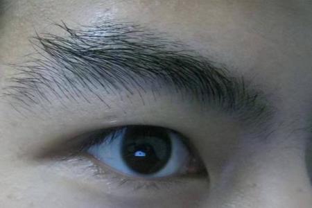 男生眉毛白，富贵与贫贱的命运之谜