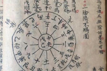 解密2007年十二月出生者的命运与性格特征