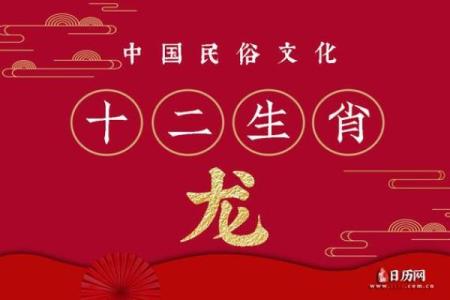 六月属龙辰时女孩命理解析:智慧与机遇并存的生命之旅