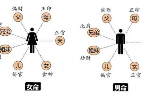 深入解析女命己酉日之运势与身弱的调理方法