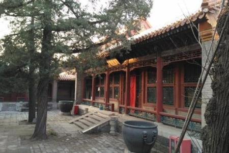 探秘《娘娘的什么丫环》：细数紫禁城中的忠诚与背叛