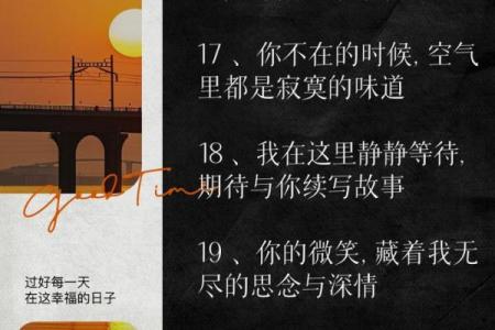 拼了命的想念你:爱与思念的纠结故事