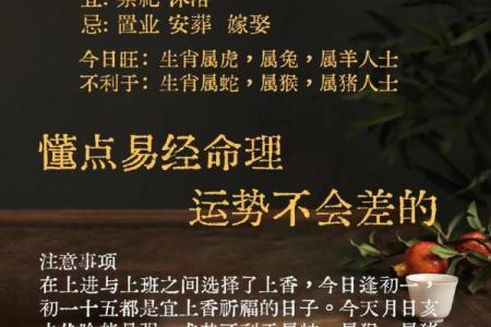 六十三属猪的命运解析:掌握人生的密码与智慧