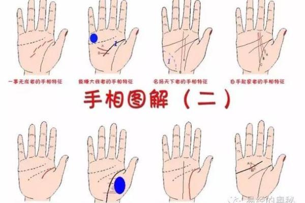 探寻命理奥秘：九六年十一月初三的命运解码