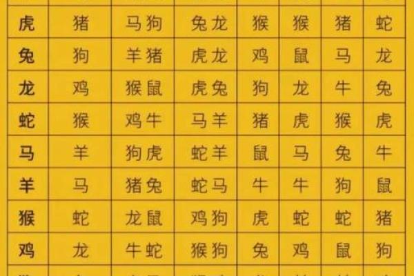 男坤命与女离命：探寻命理婚姻的奥秘与建议