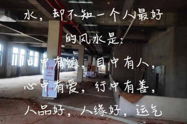 命里多水的人，生命中的意义与幸福探索