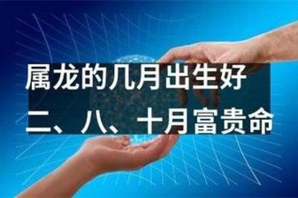 牛年腊月28出生的命运解析：探秘命理与生活的奇妙关联