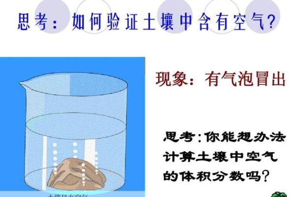 探索命局中的土金之象：平衡与成长的秘诀
