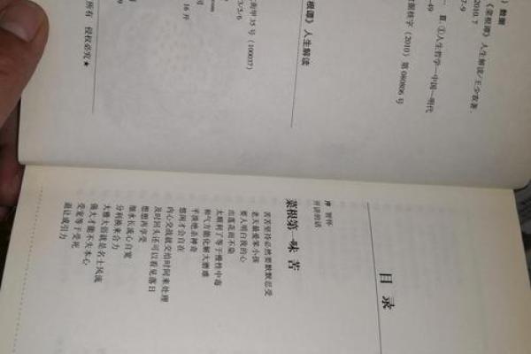 探索“没你那个命”的深层含义：生活的哲学与情感的解读