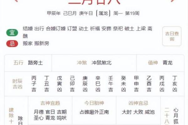 六月的龙与十二月的虎：命理中的神秘交汇与人生启示