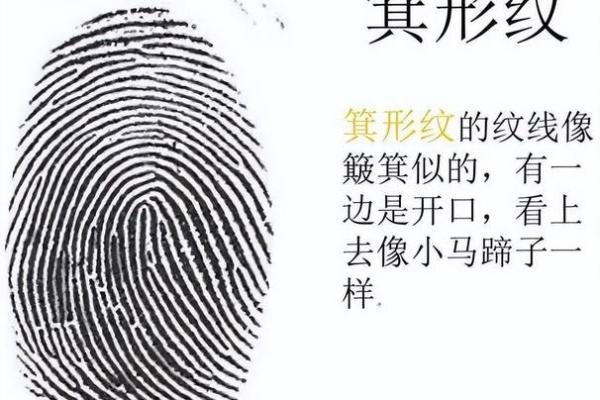 探索两斗八个簸箕的命理秘密：人生的星光与轨迹