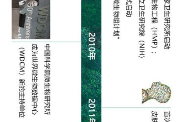 探索美国五行命格：文化、性格与命运的奥秘