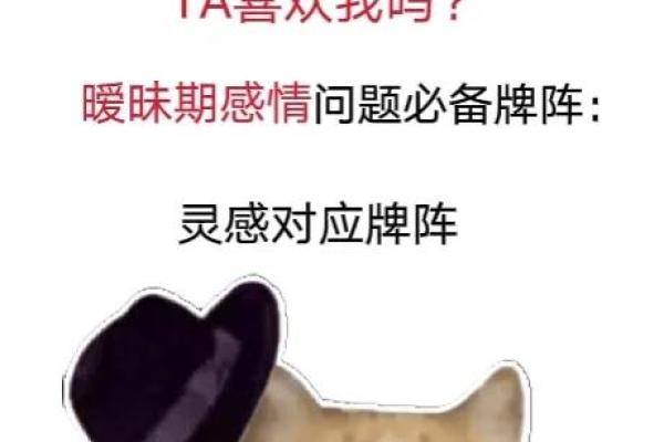 年命克胎元的深远影响：解读命理中的和谐与冲突