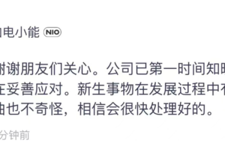 青鸟命格解析:如何妥善应对命运中的挑战与机遇