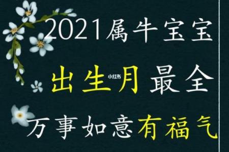 男属牛的进食命理：如何选择适合自己的饮食方式？