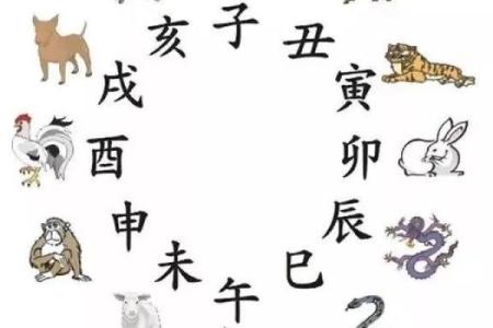 戌月戊土命局解析：如何识别自身特质与人生方向
