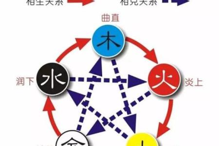 探秘五行之木与金:解析命理中的月份选择